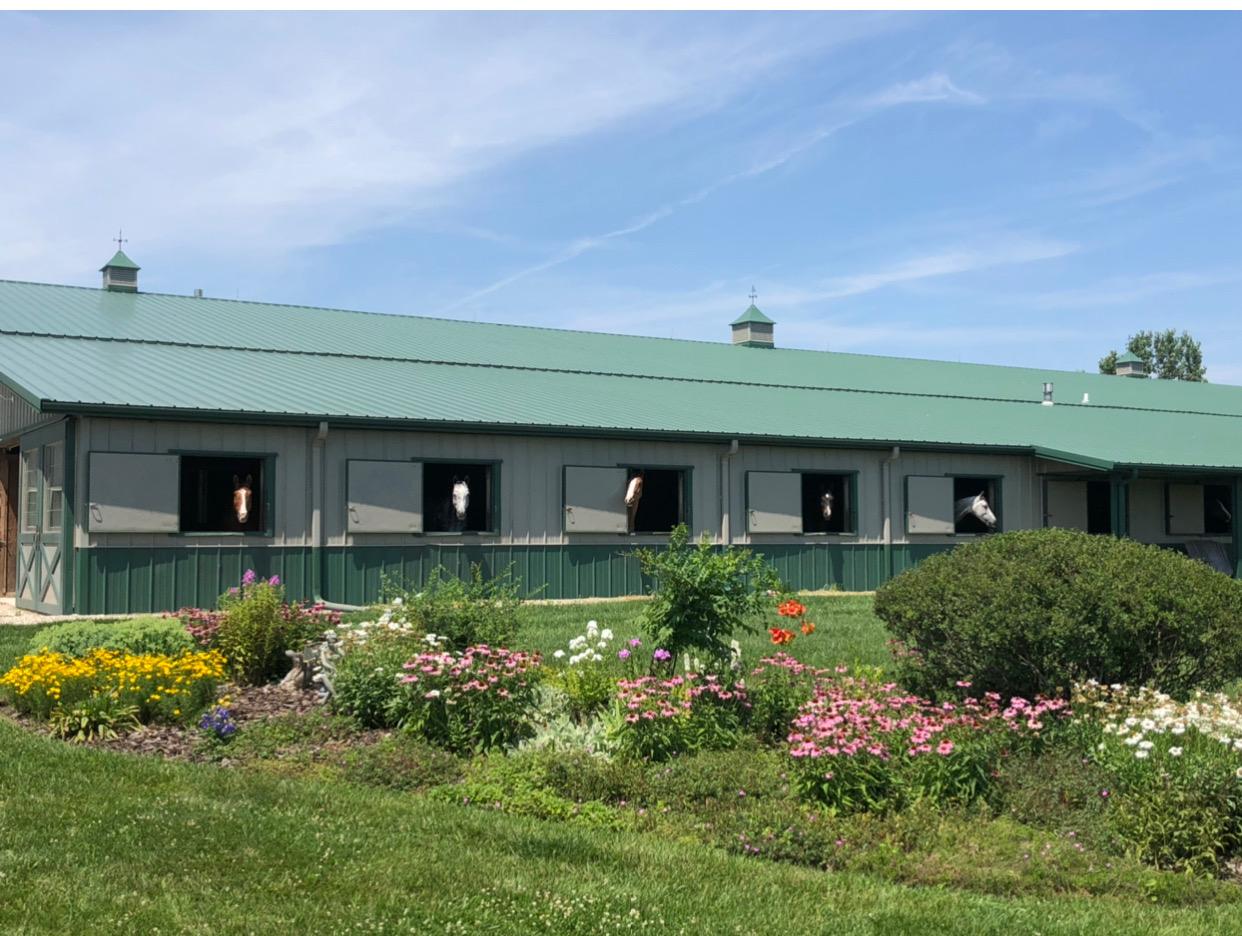Twenty one farms stables showing horses at the windows.